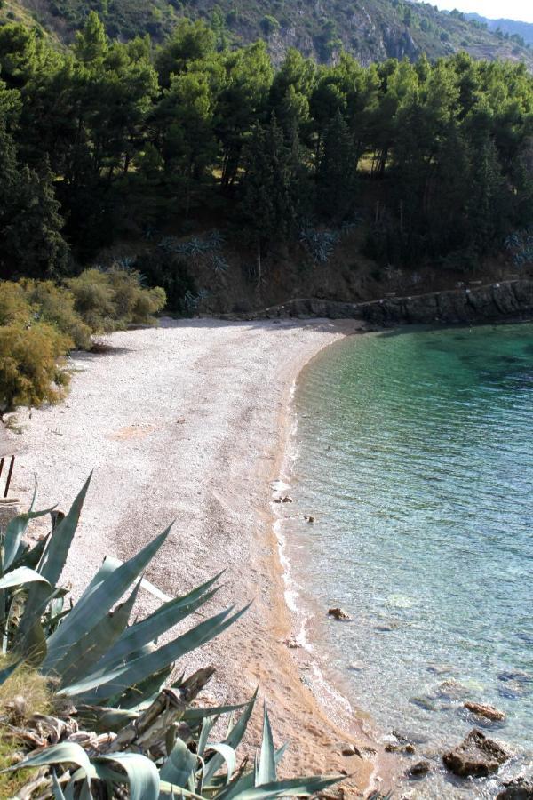 Apartments By The Sea Komiza, Vis - 2429 외부 사진